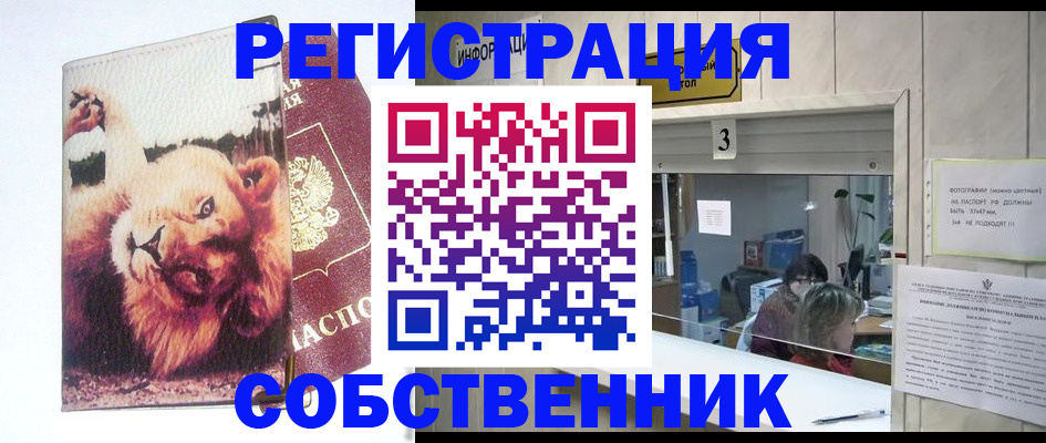 прописка поиск в Дзержинском